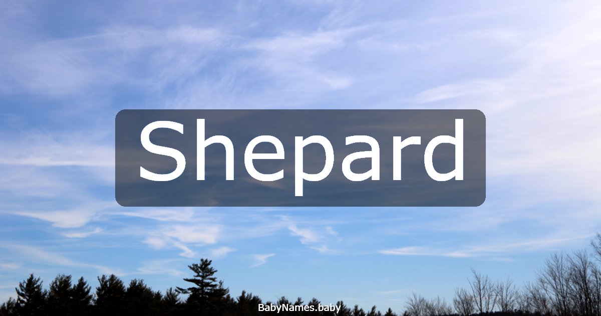 Shepard