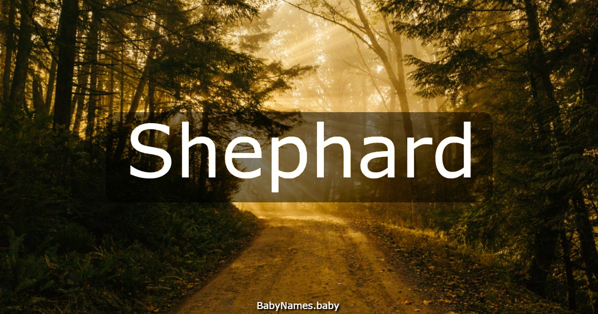 Shephard