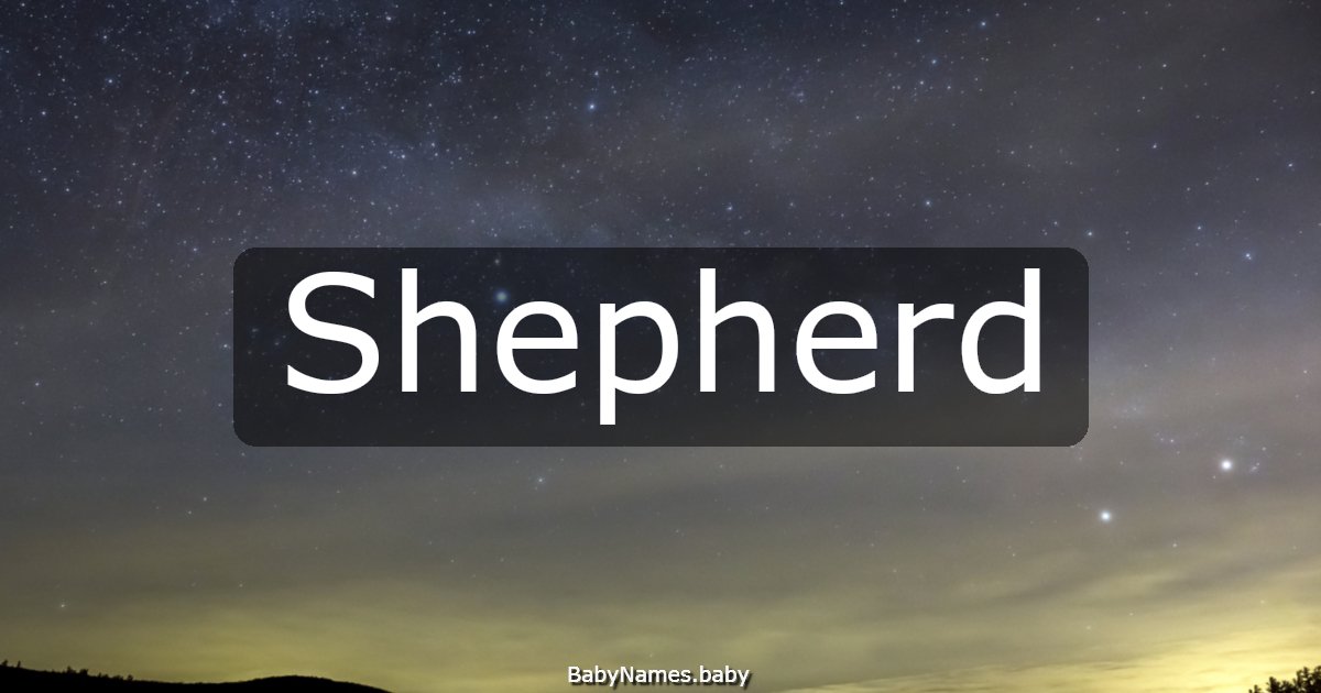 Shepherd
