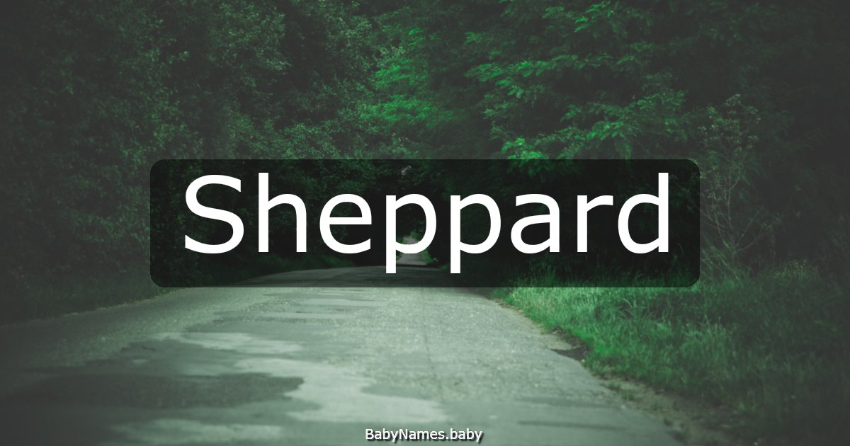 Sheppard