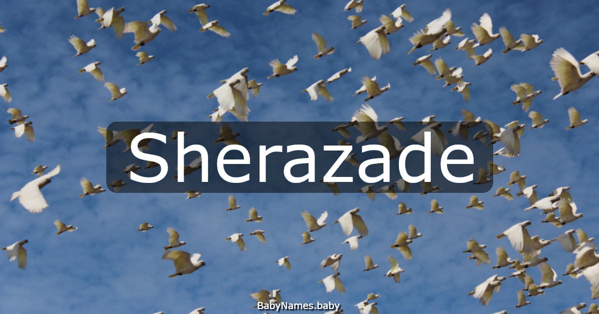 Sherazade