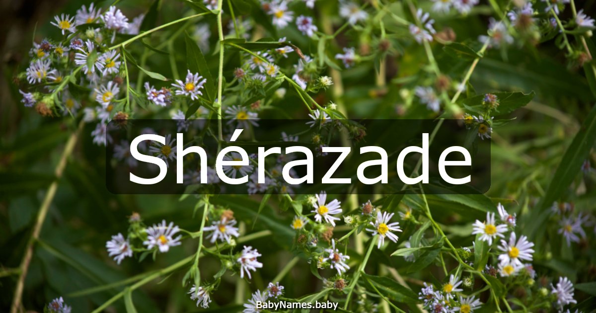 Shérazade
