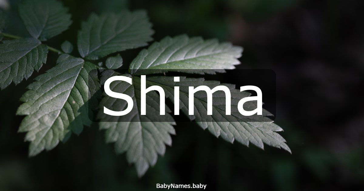 Shima