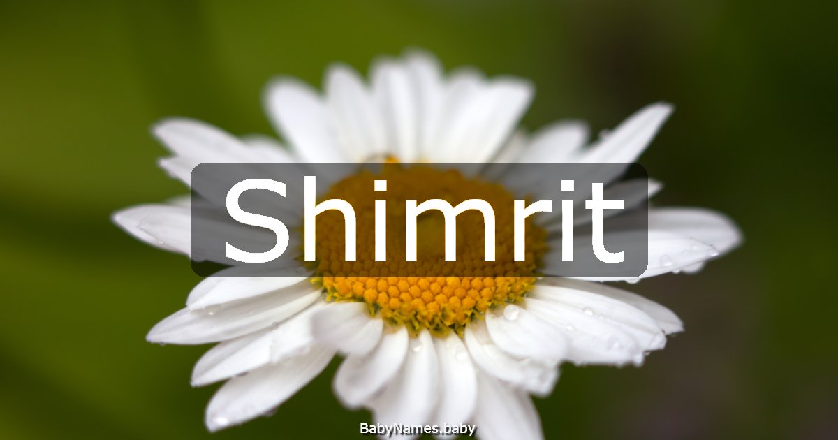 Shimrit