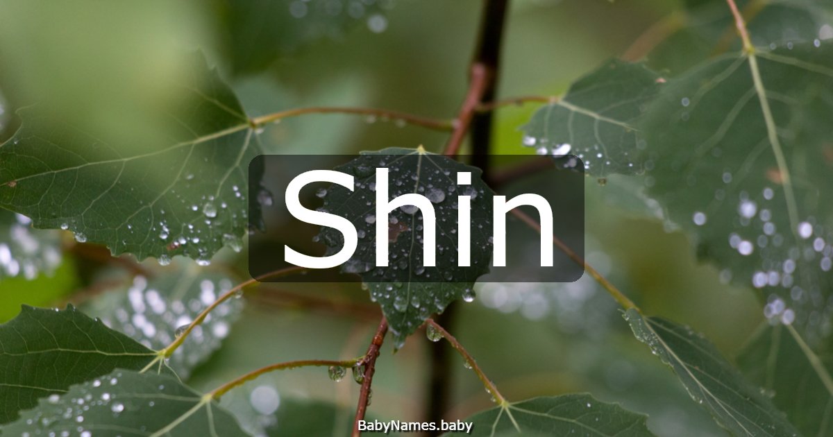 Shin