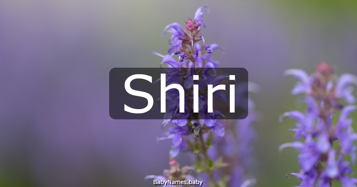 Shiri