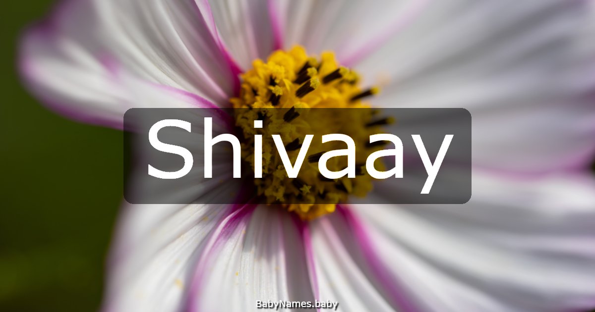 Shivaay