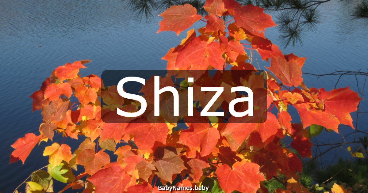 Shiza