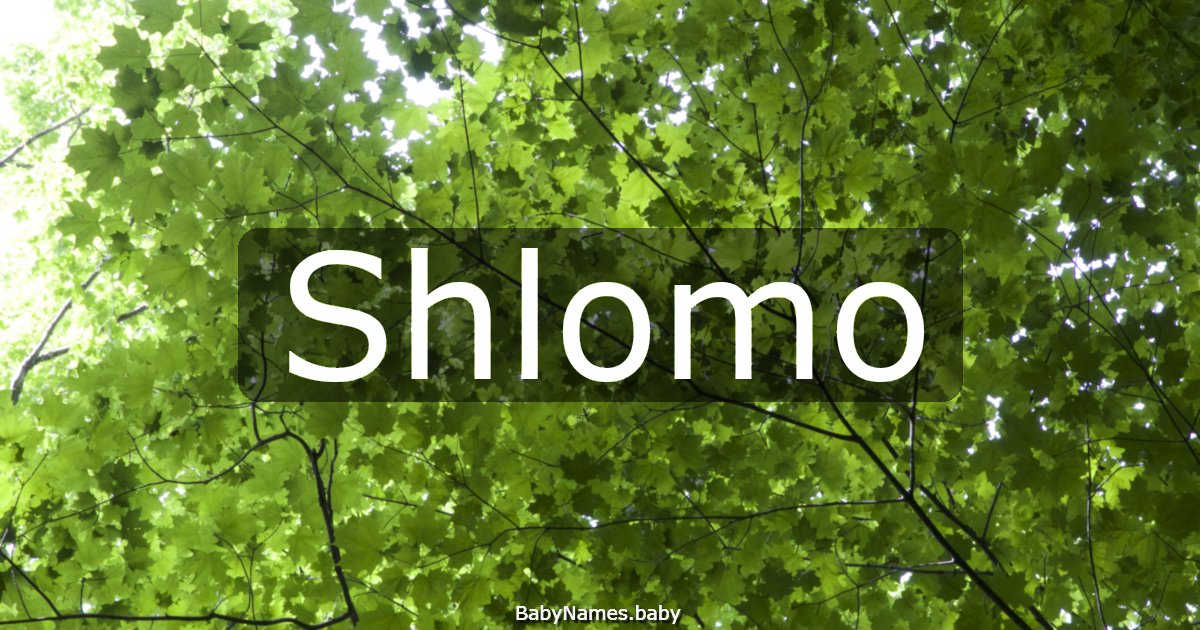 Shlomo