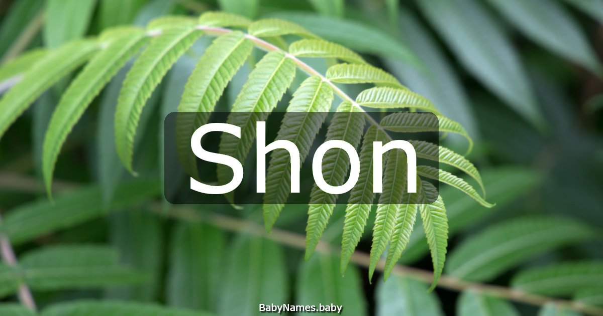 Shon