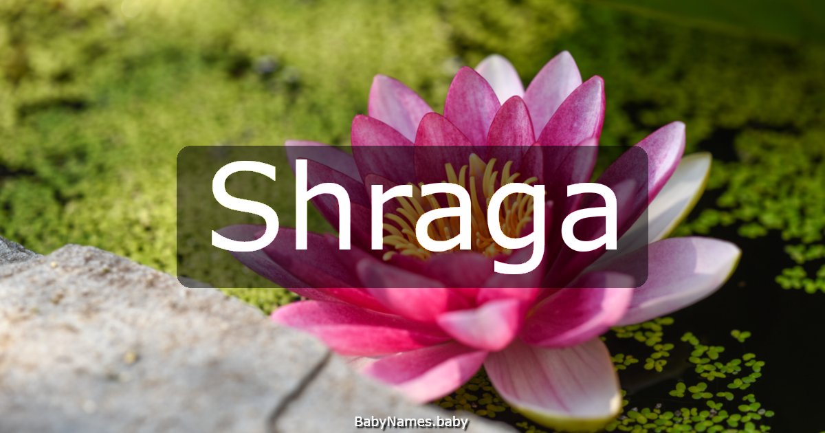 Shraga