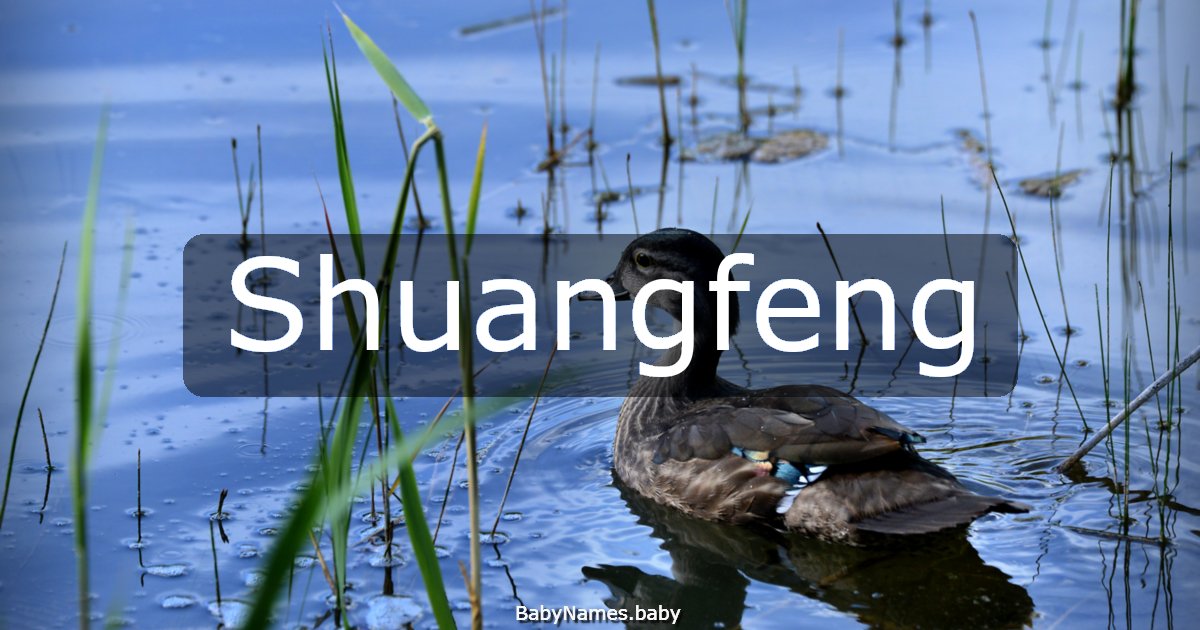 Shuangfeng