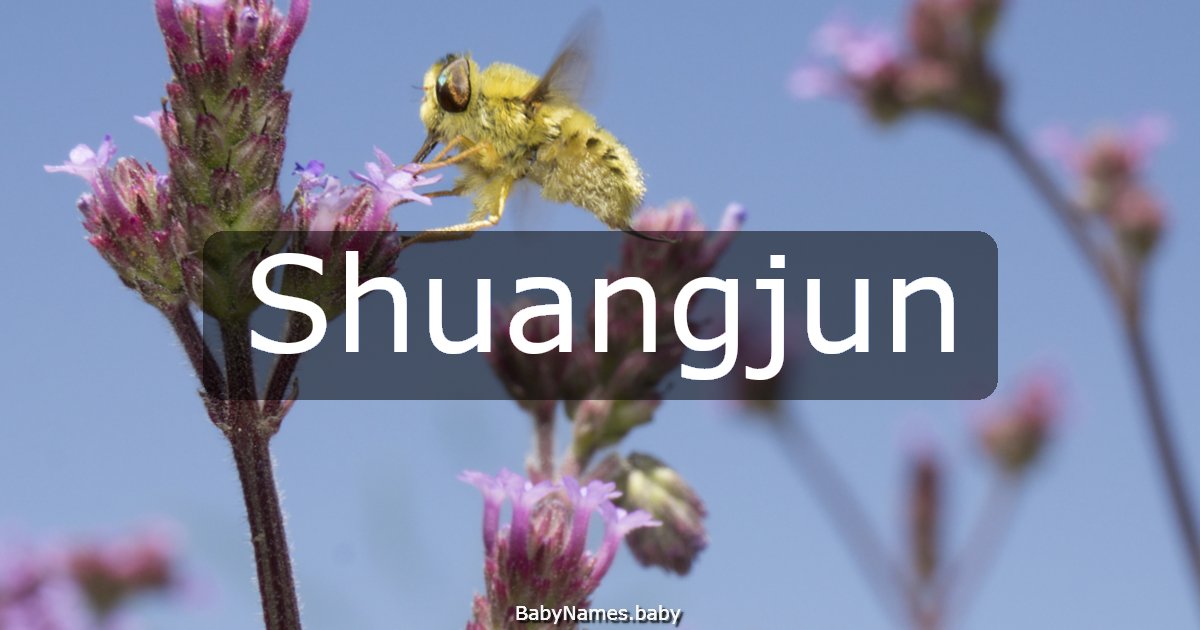 Shuangjun