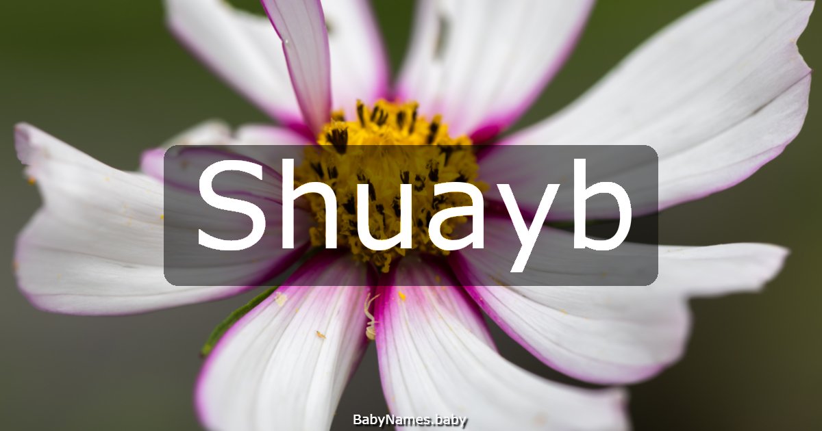 Shuayb