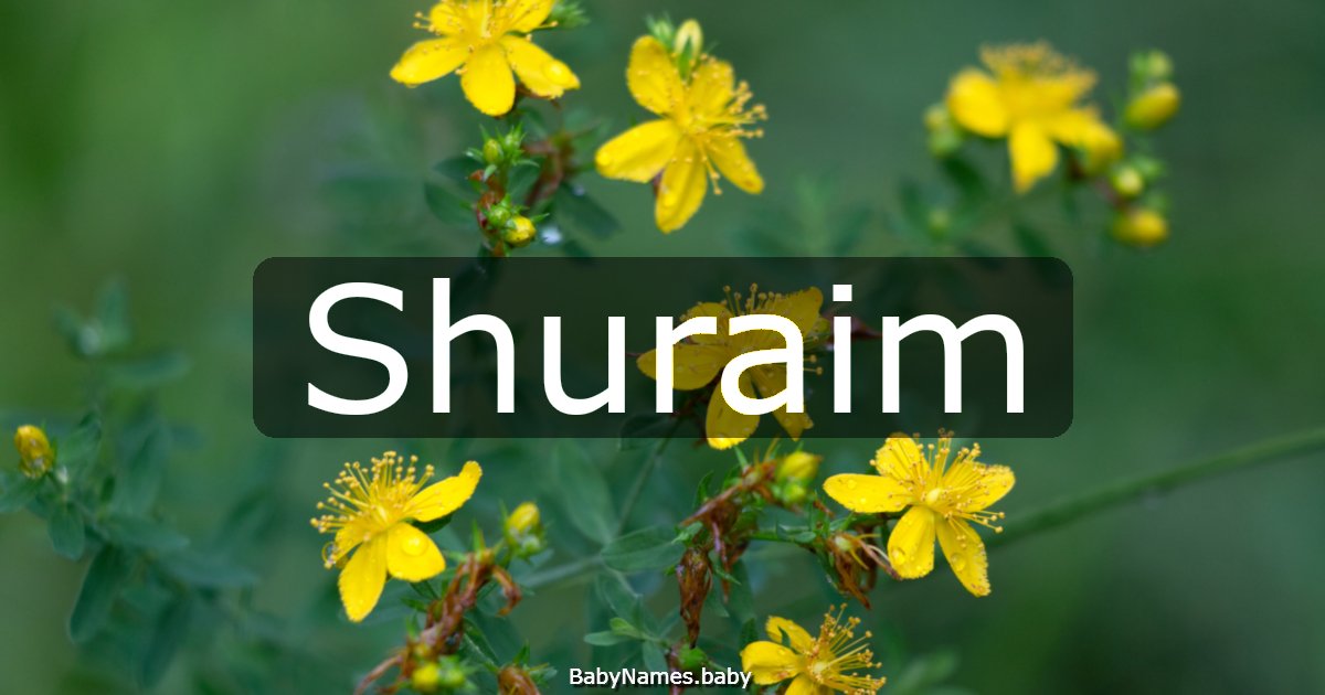 Shuraim