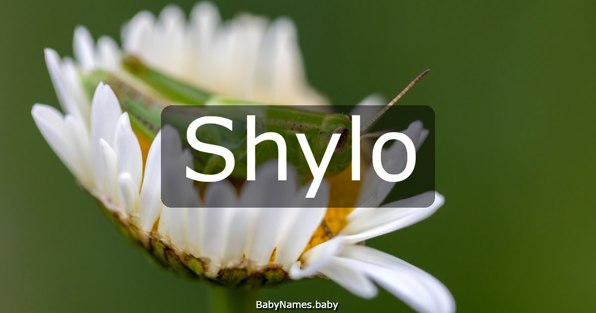 Shylo