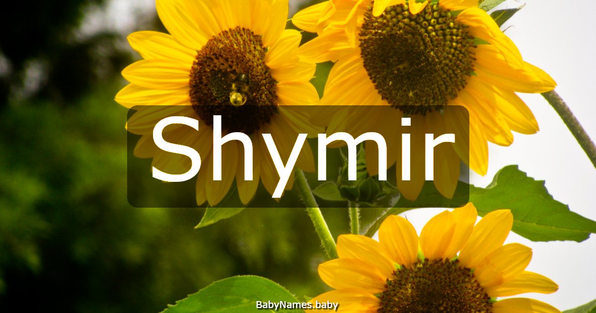 Shymir