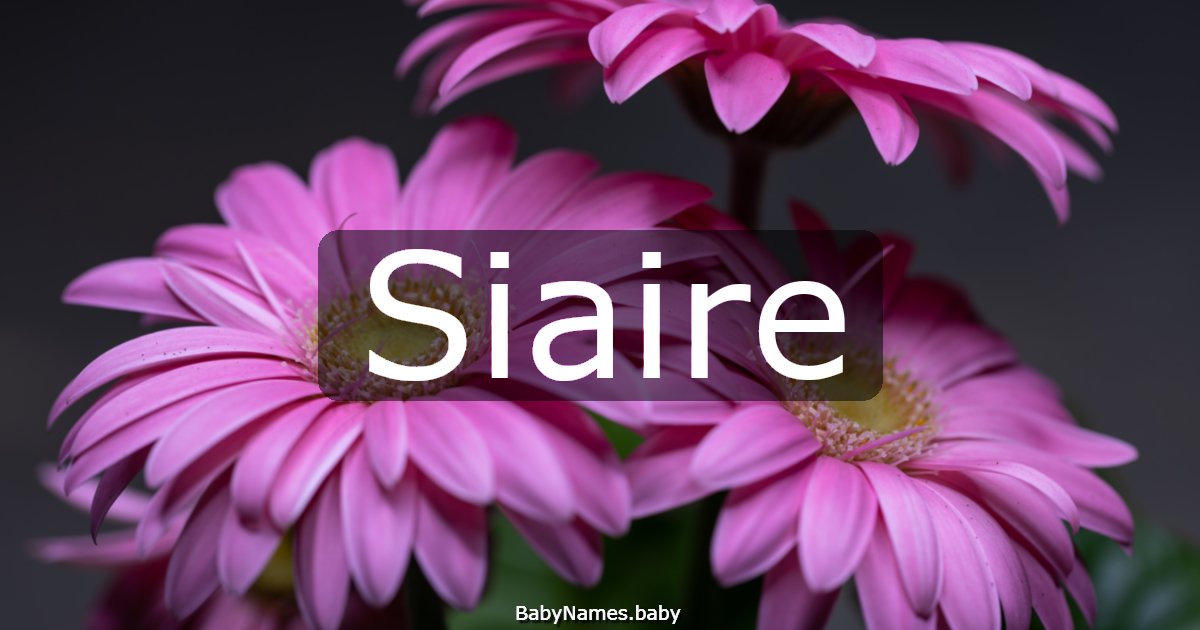 Siaire