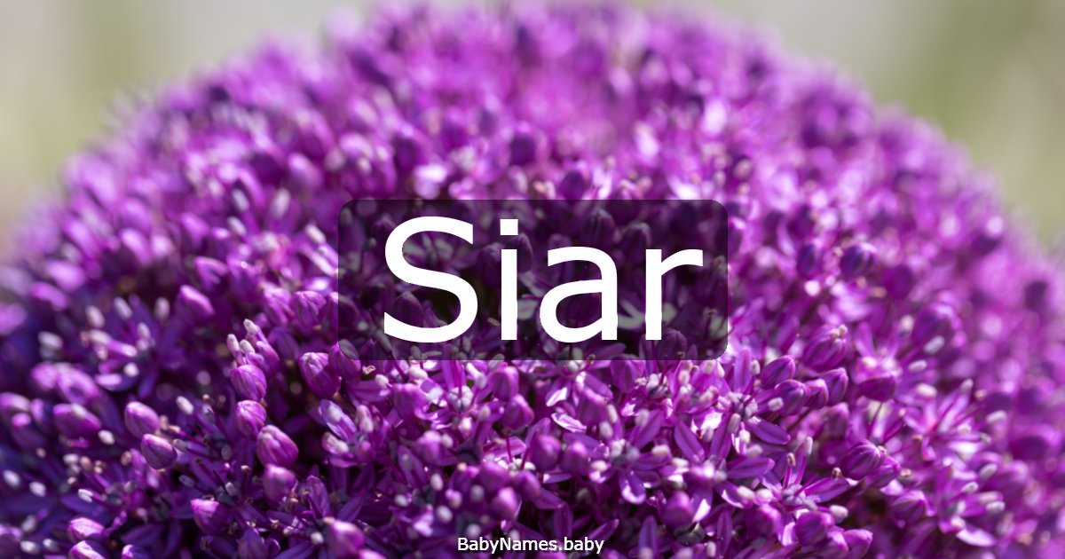 Siar