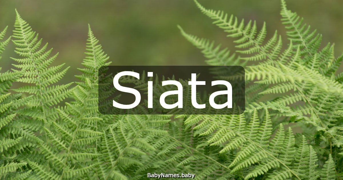 Siata
