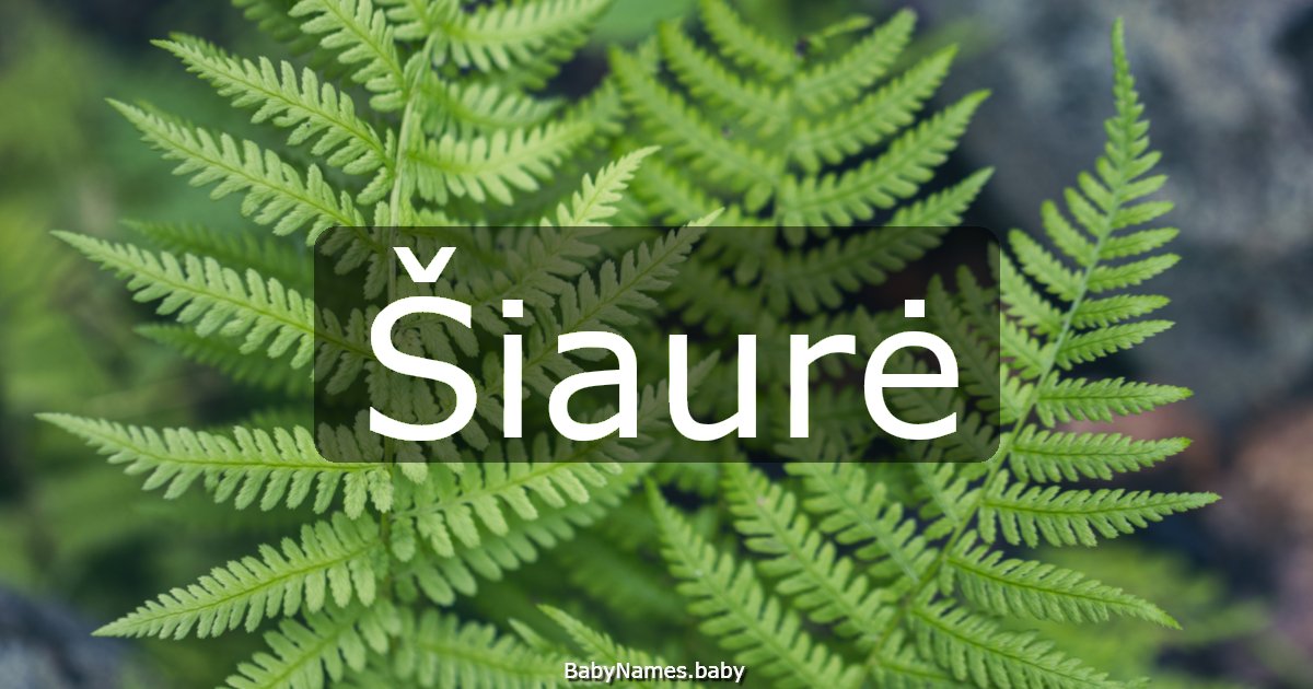 Šiaurė