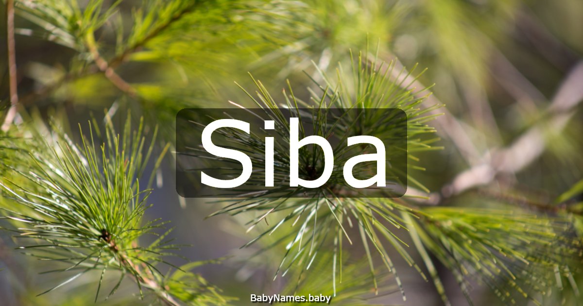 Siba