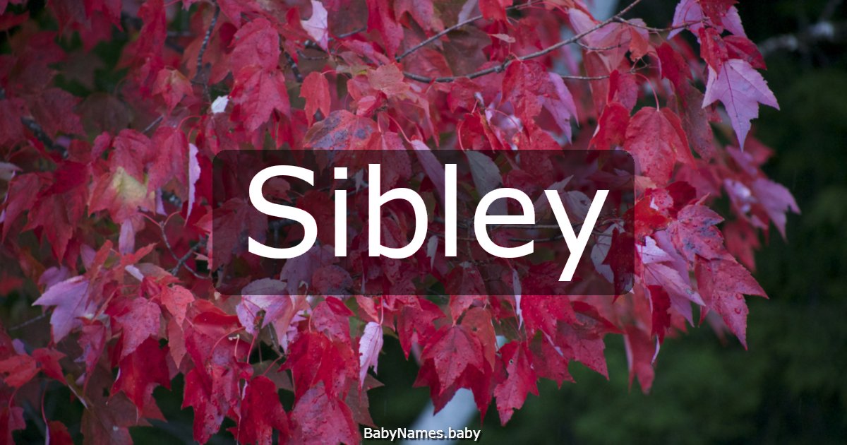Sibley
