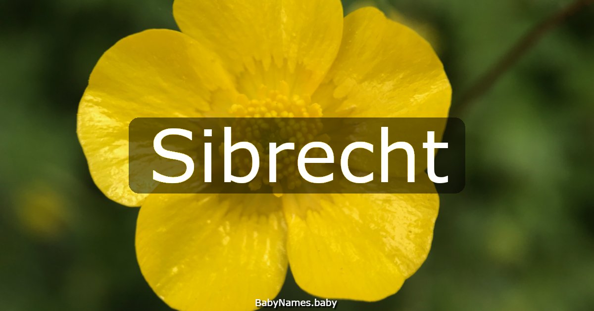 Sibrecht