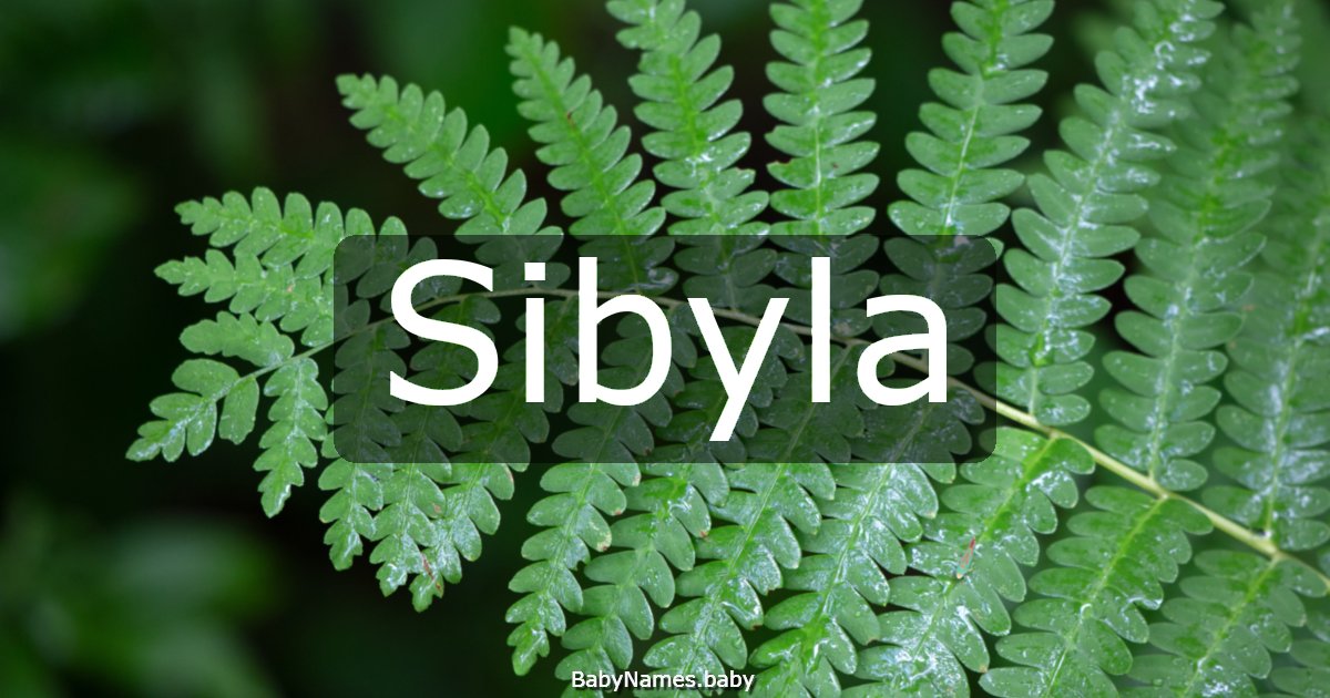 Sibyla