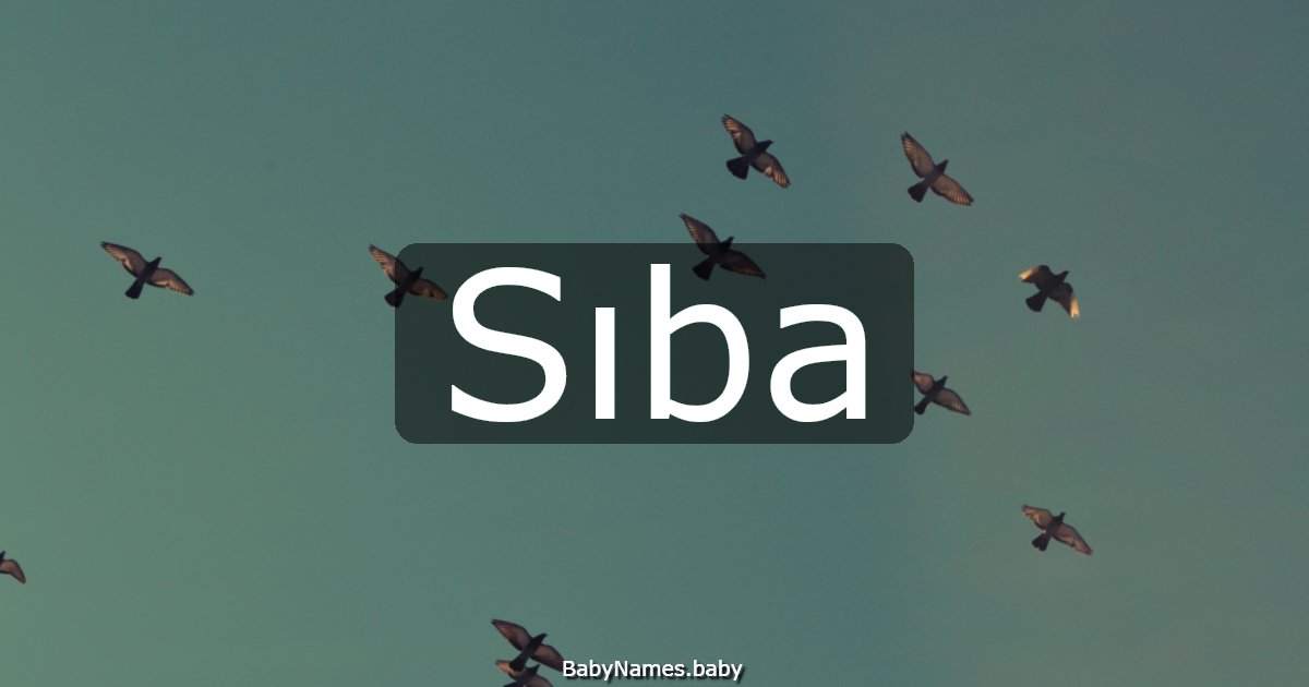 Sıba