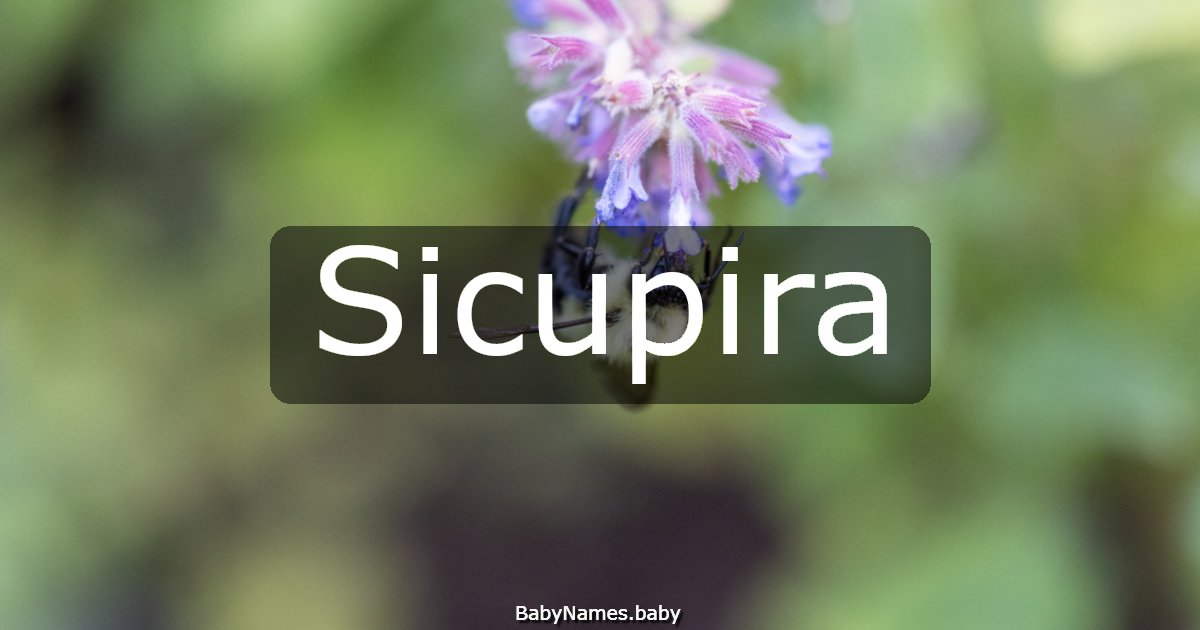 Sicupira