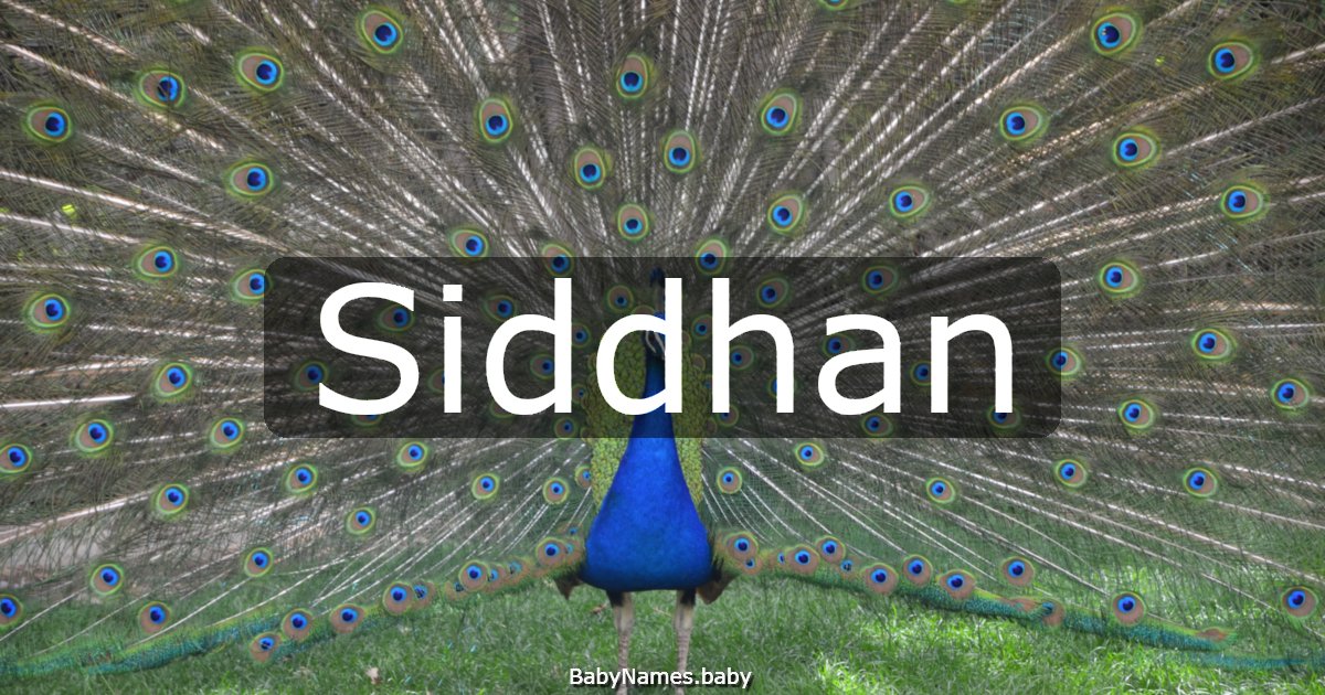 Siddhan