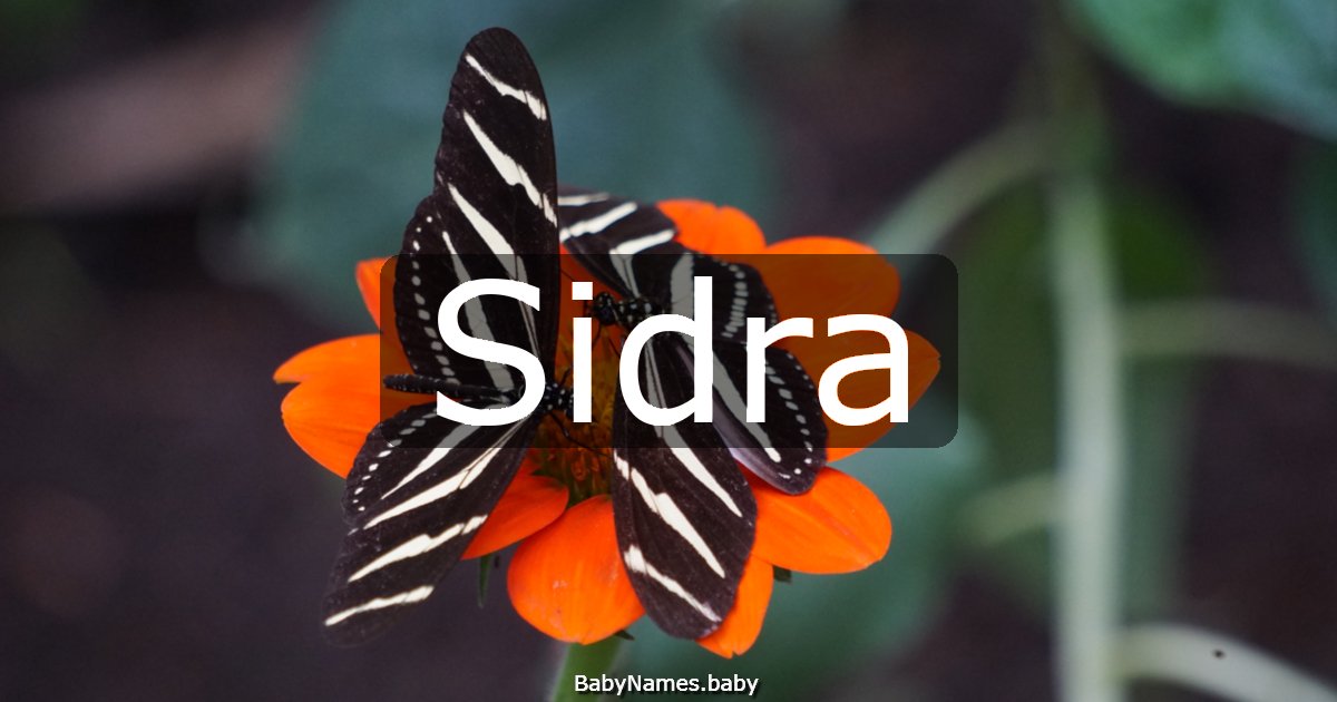 Sidra
