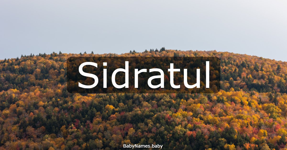 Sidratul