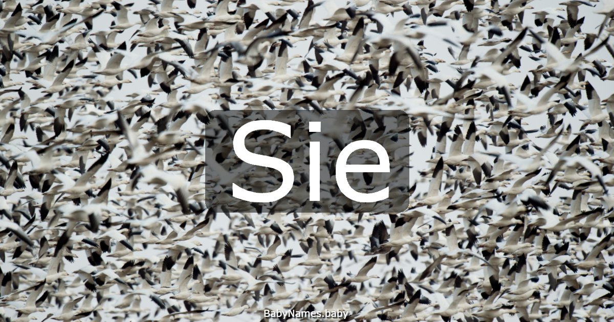 Sie