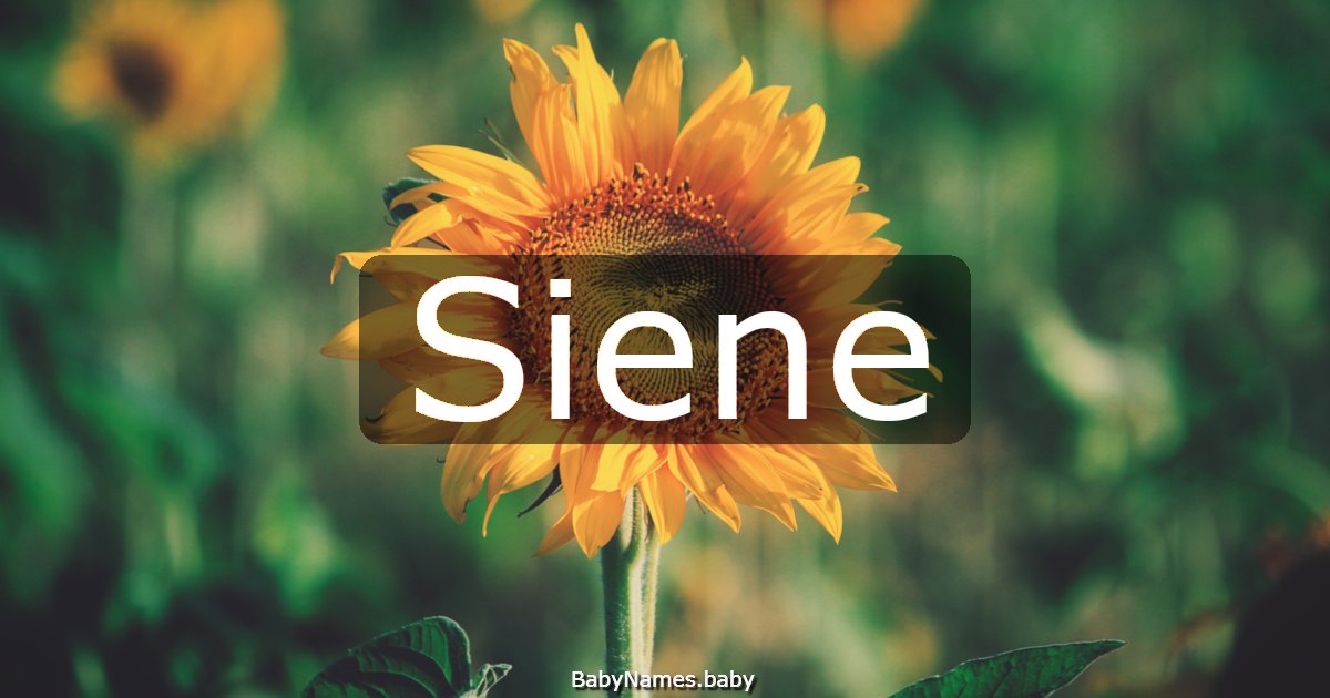 Siene