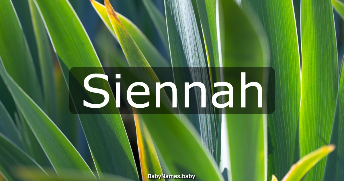 Siennah