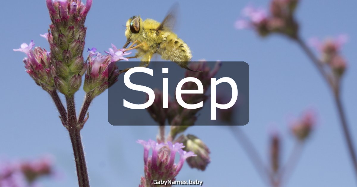 Siep