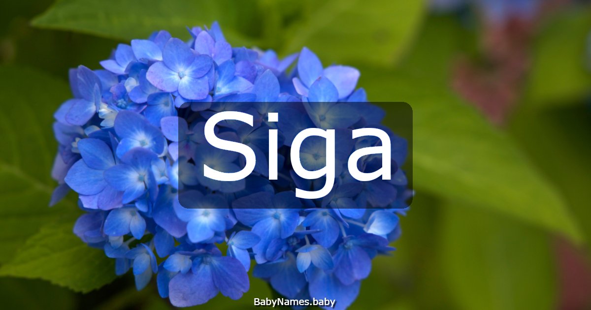 Siga