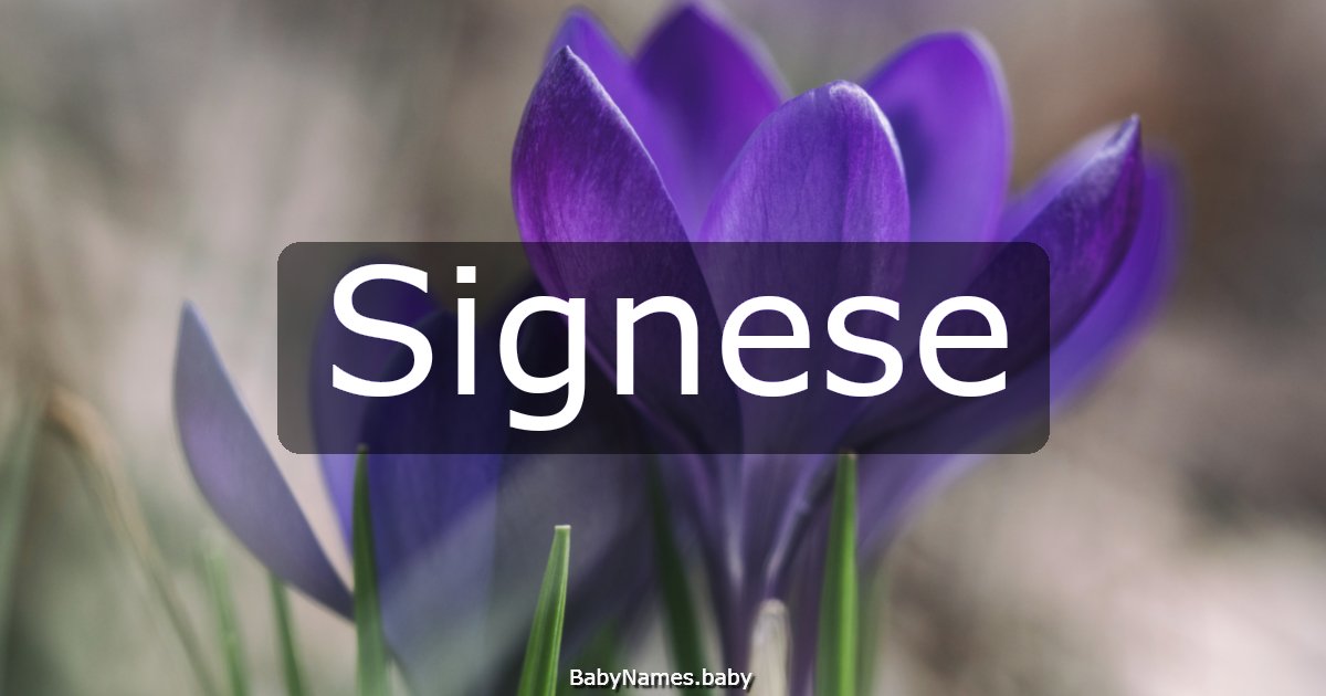 Signese
