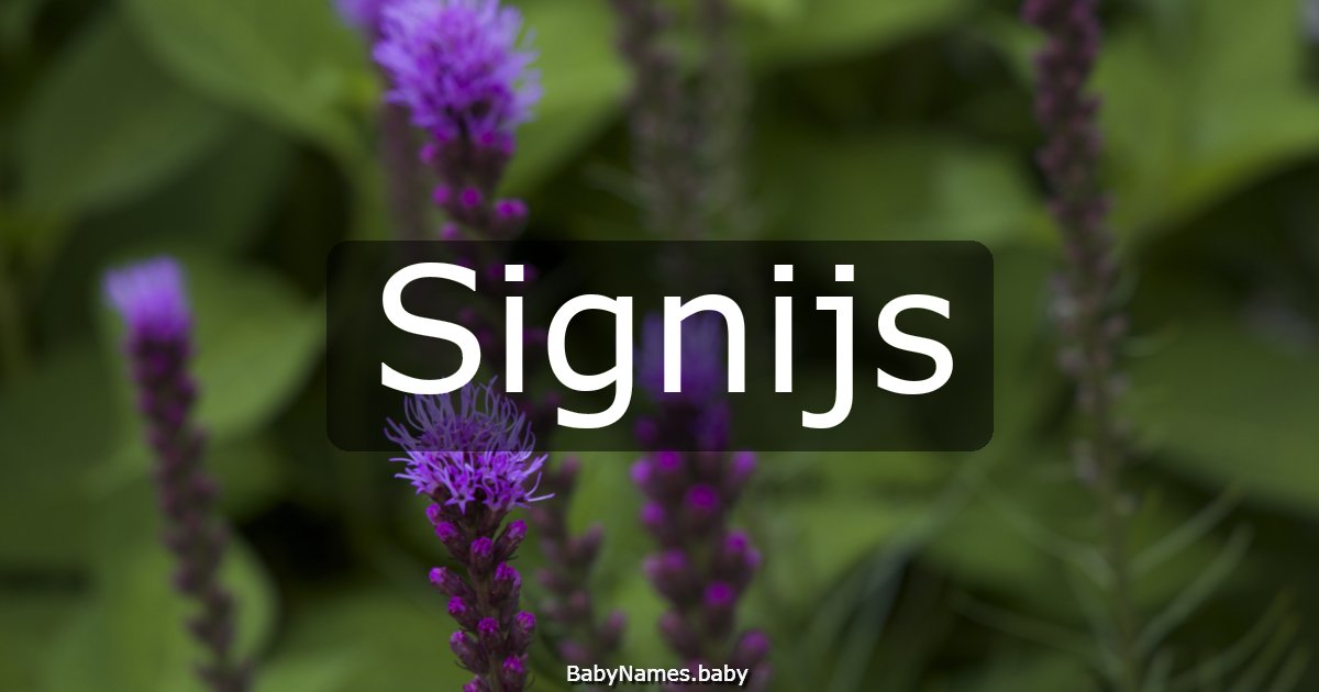 Signijs