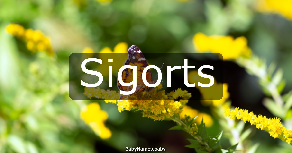 Sigorts