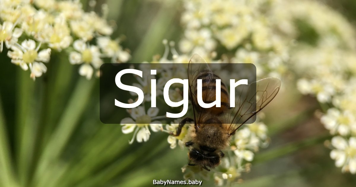 Sigur