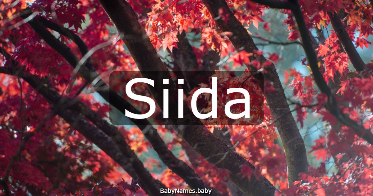 Siida