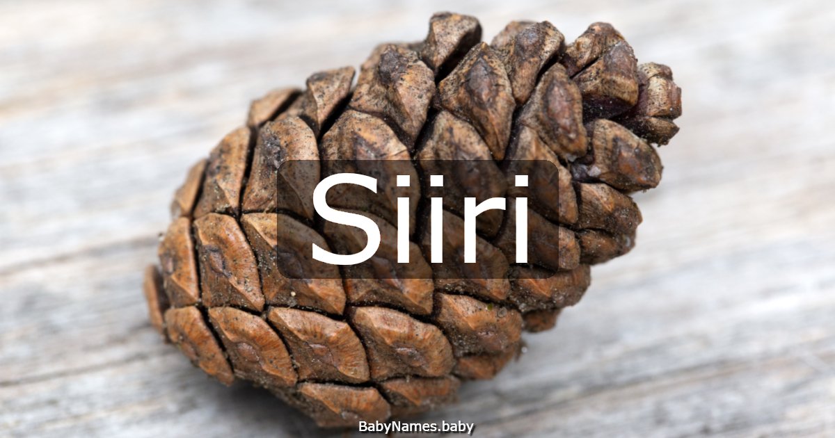 Siiri