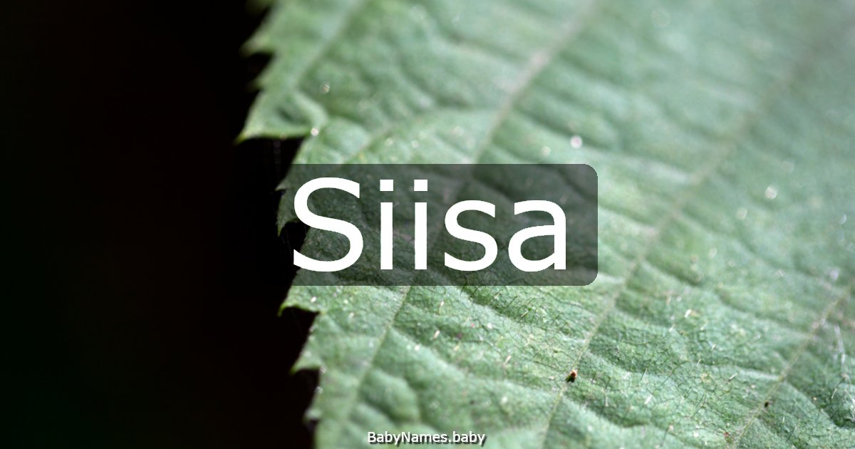 Siisa