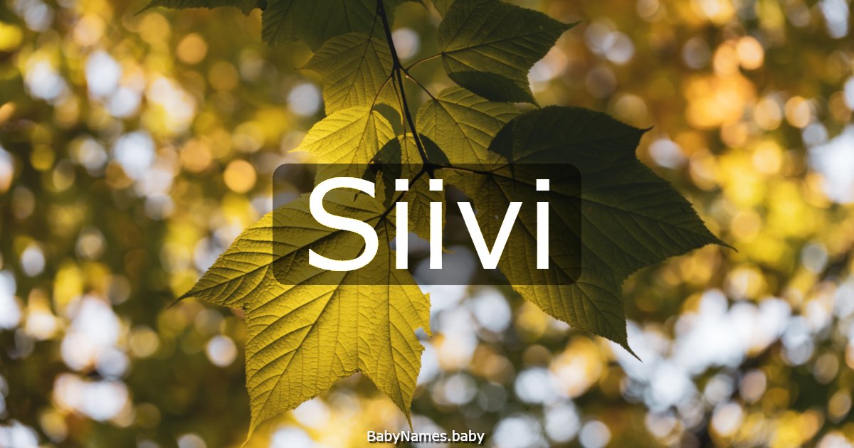 Siivi