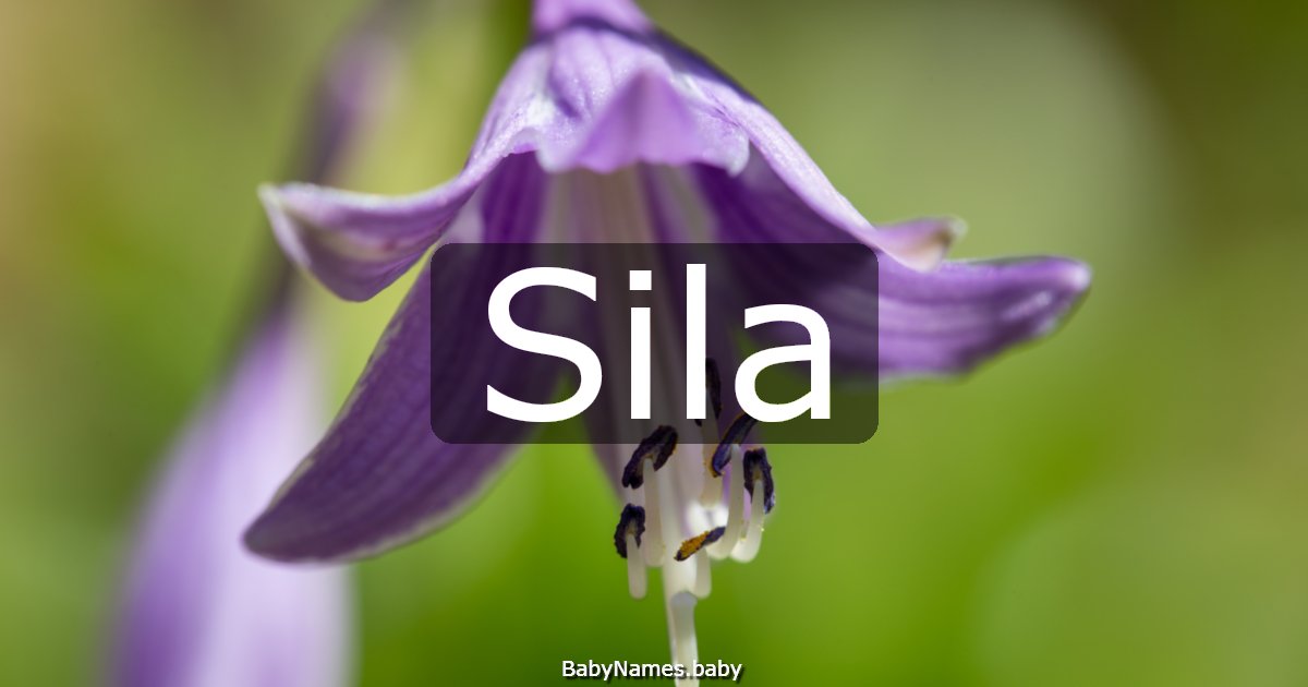 Sila