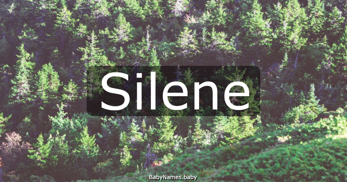 Silene