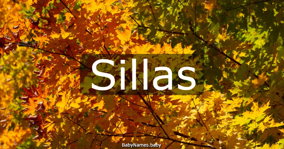 Sillas